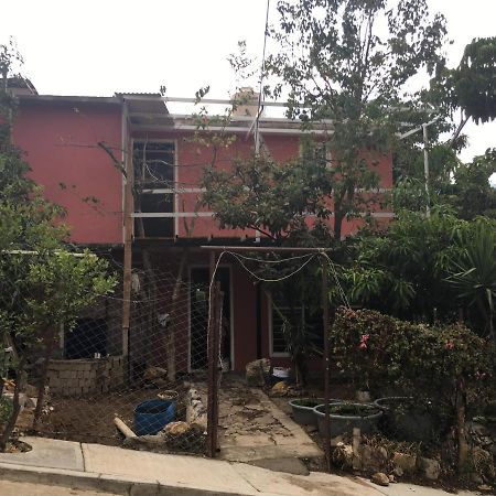 La Casa Del Nenufar Hotell Oaxaca Eksteriør bilde