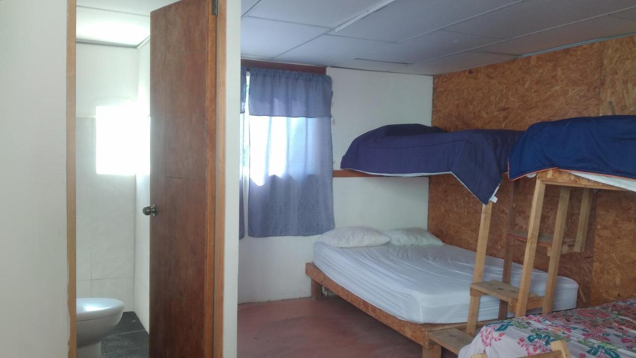 La Casa Del Nenufar Hotell Oaxaca Eksteriør bilde