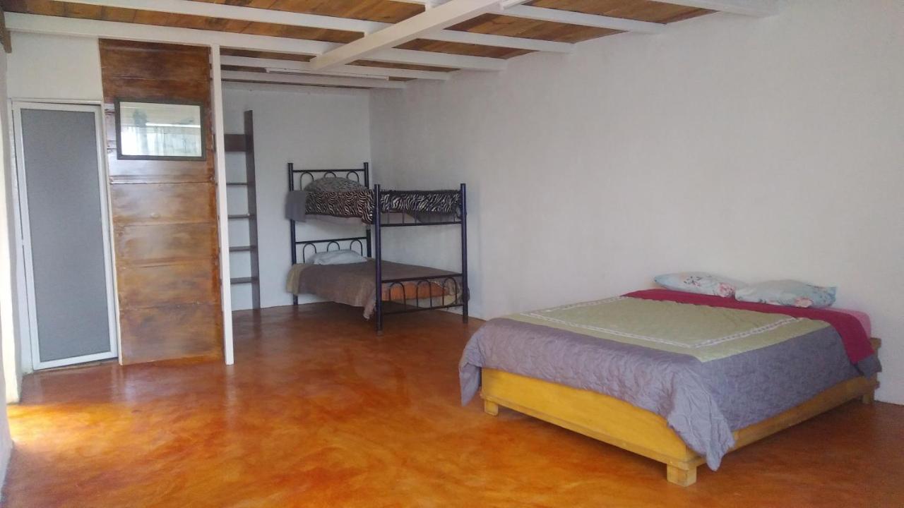 La Casa Del Nenufar Hotell Oaxaca Eksteriør bilde