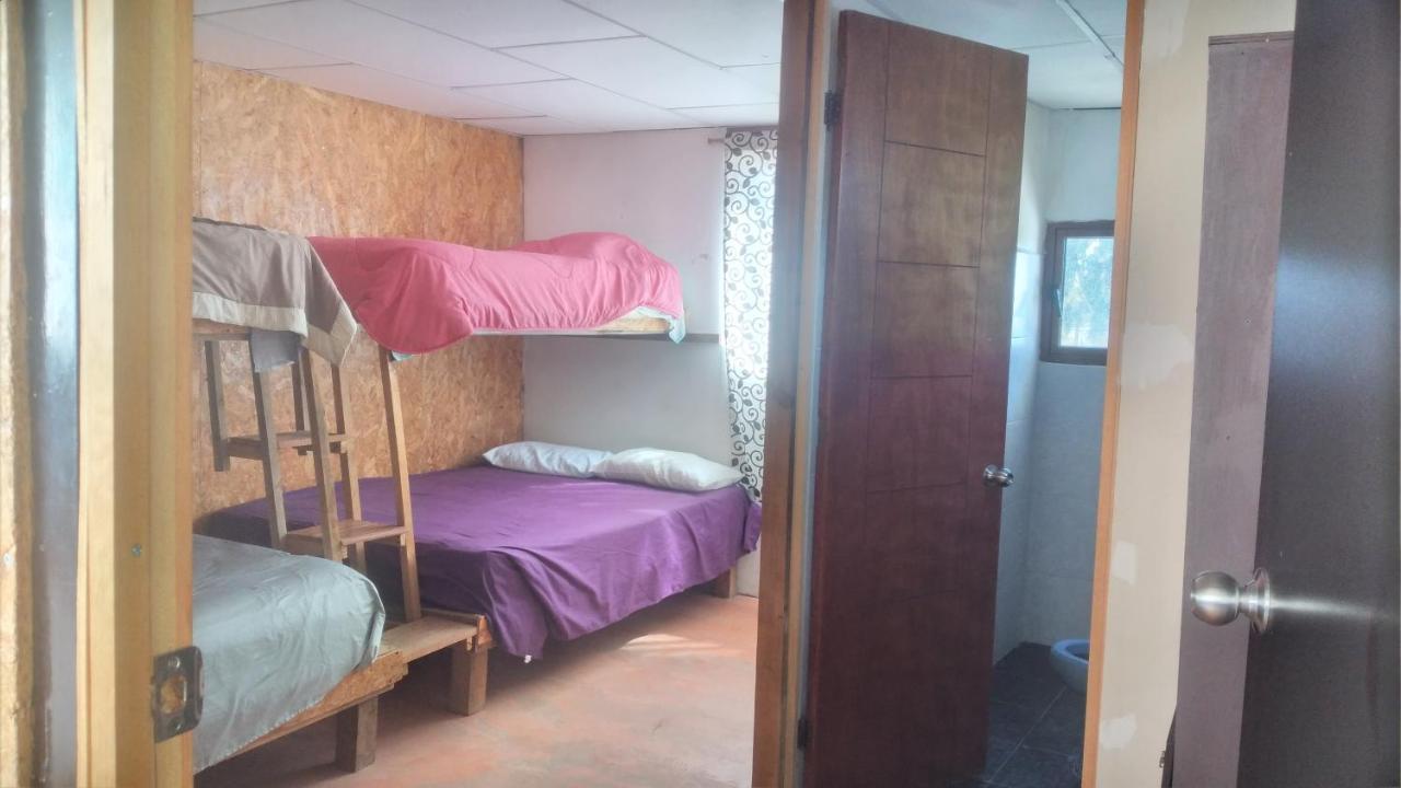 La Casa Del Nenufar Hotell Oaxaca Eksteriør bilde