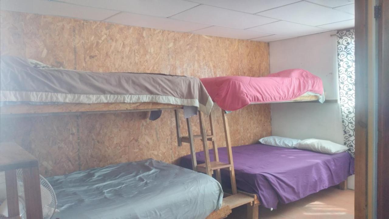 La Casa Del Nenufar Hotell Oaxaca Eksteriør bilde