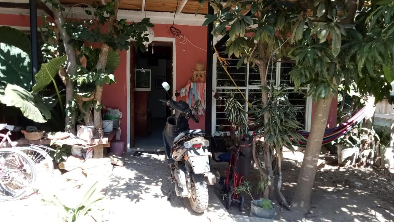 La Casa Del Nenufar Hotell Oaxaca Eksteriør bilde