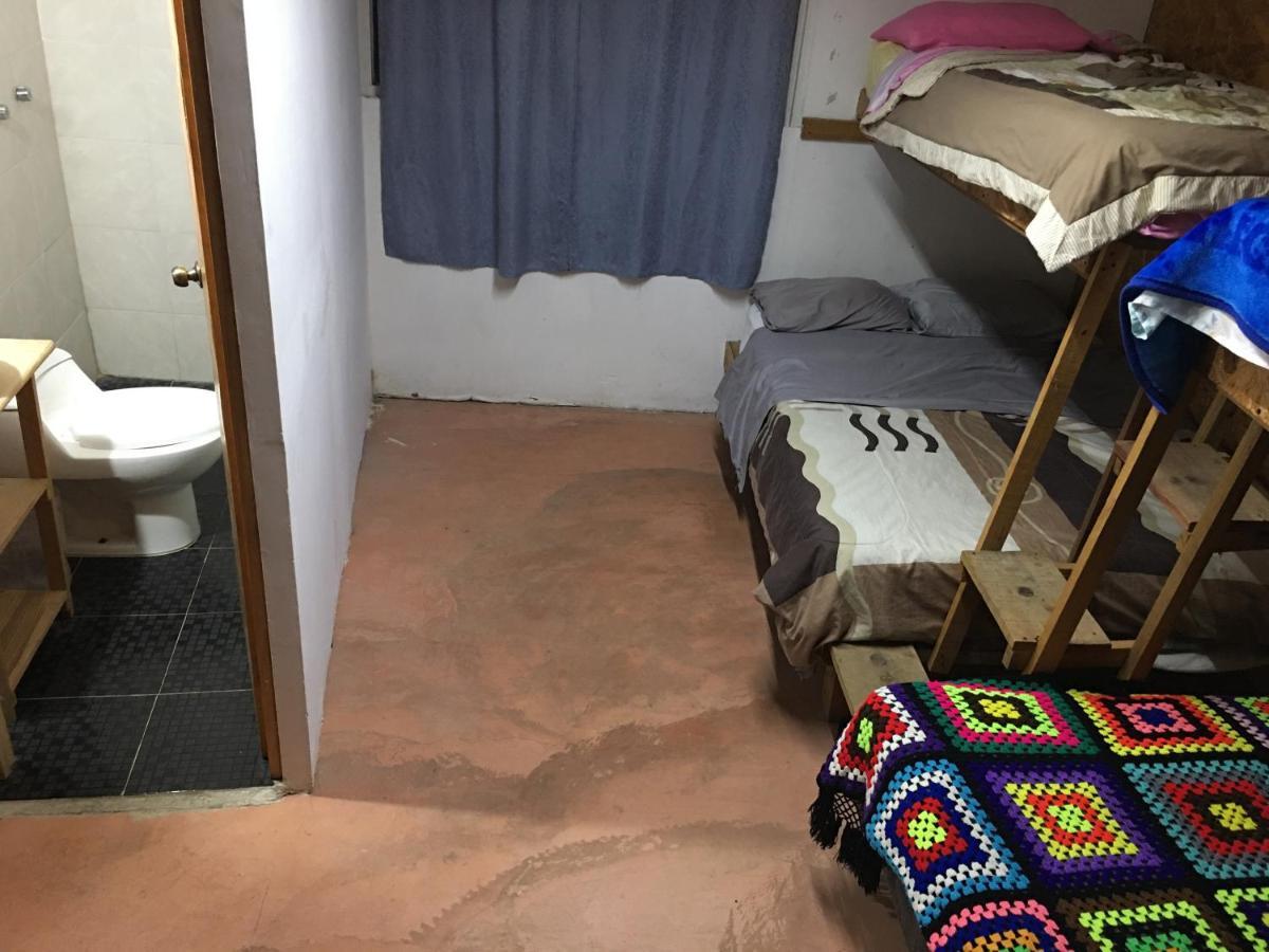 La Casa Del Nenufar Hotell Oaxaca Eksteriør bilde