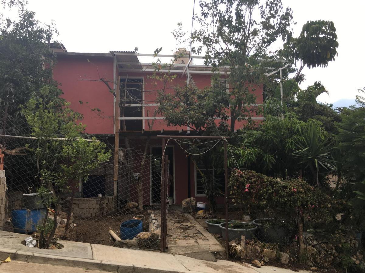La Casa Del Nenufar Hotell Oaxaca Eksteriør bilde