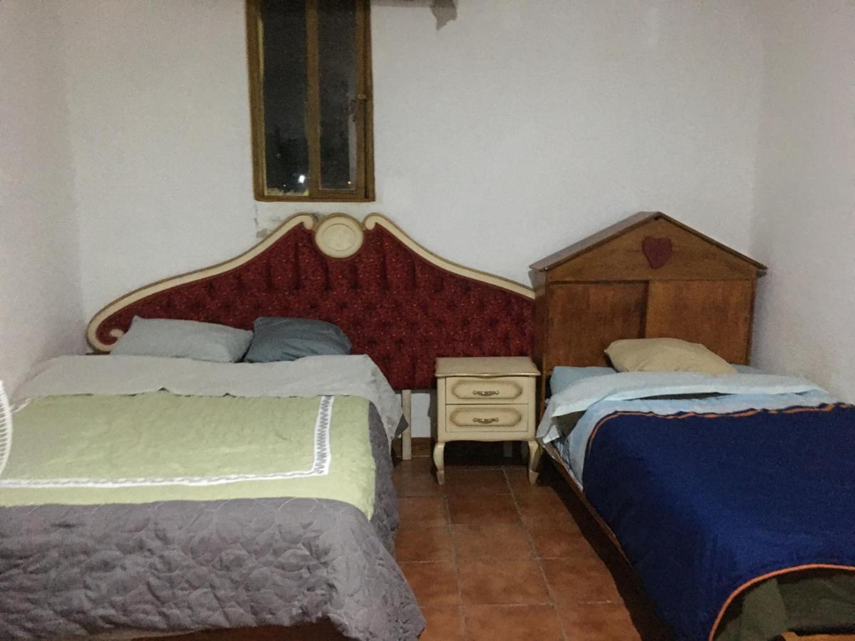 La Casa Del Nenufar Hotell Oaxaca Eksteriør bilde