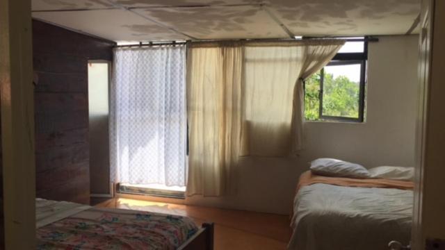 La Casa Del Nenufar Hotell Oaxaca Eksteriør bilde